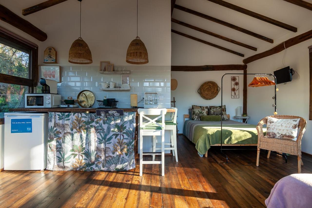 Vale Da Silva Villas - Homes Albergaria-a-Velha Extérieur photo