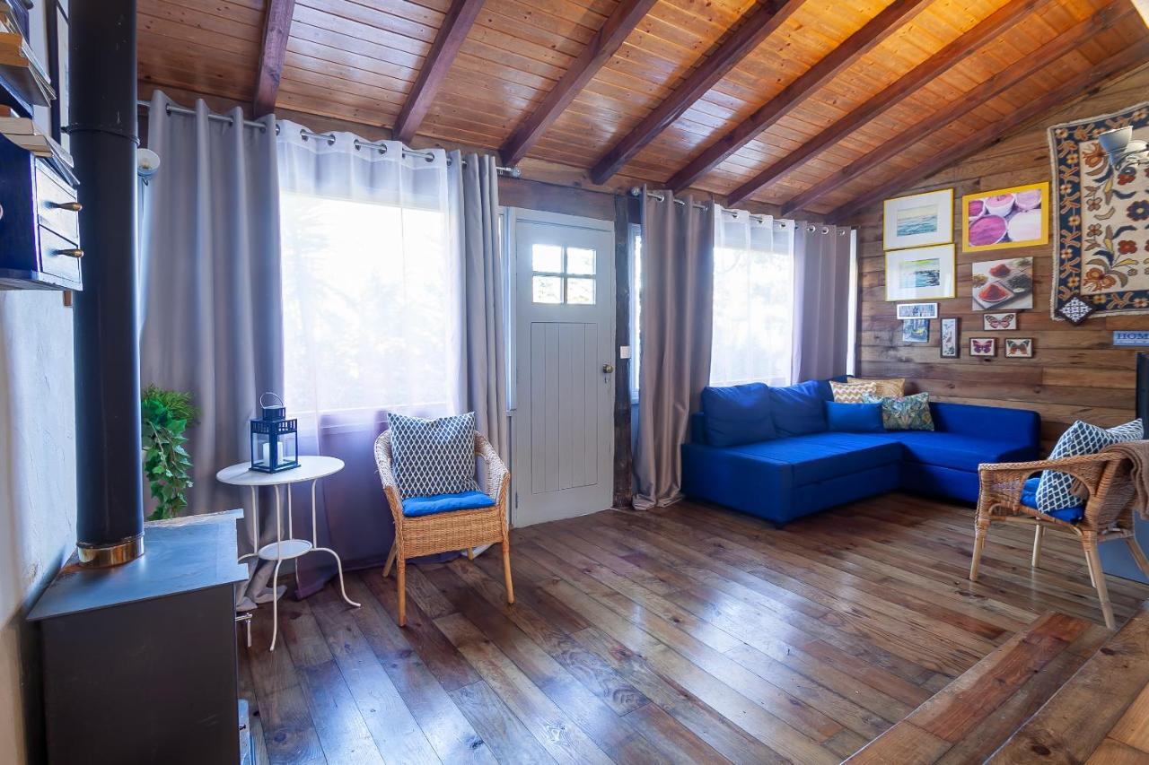 Vale Da Silva Villas - Homes Albergaria-a-Velha Extérieur photo