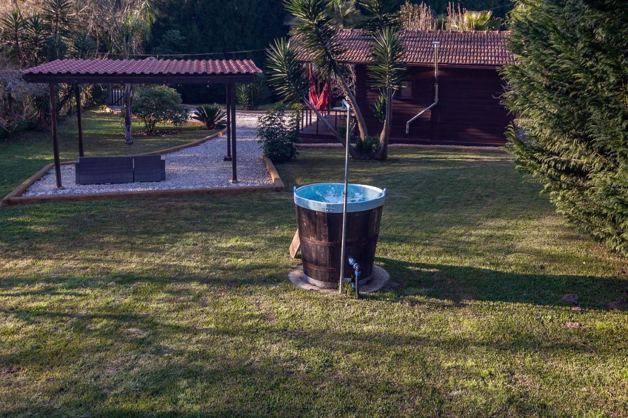 Vale Da Silva Villas - Homes Albergaria-a-Velha Extérieur photo